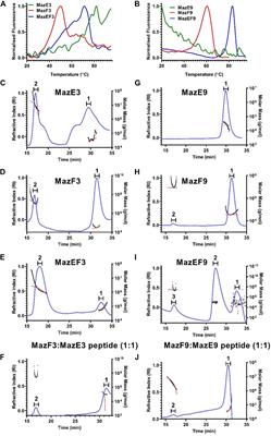 Combining cysteine scanning with chemical labeling to map protein-protein interactions and infer bound structure in an intrinsically disordered region